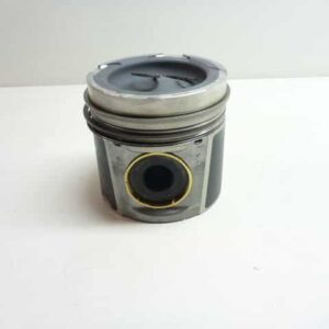 Set Piston aluminiu DAF 1865030