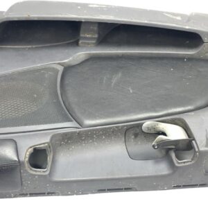 Panou Ornament Usi Dreapta Scania 1425642/1728012