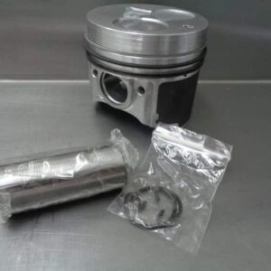 Piston motor perkins tw6.3544 ult-031756